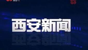 西安网络广播电视台的个人频道
