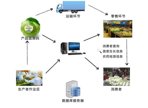 农产品溯源系统与网络电台 数字化农业的创新融合